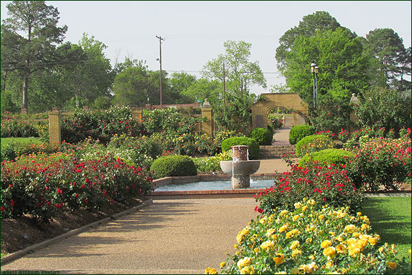 Tyler Texas The Rose Capital And Unique In All The World